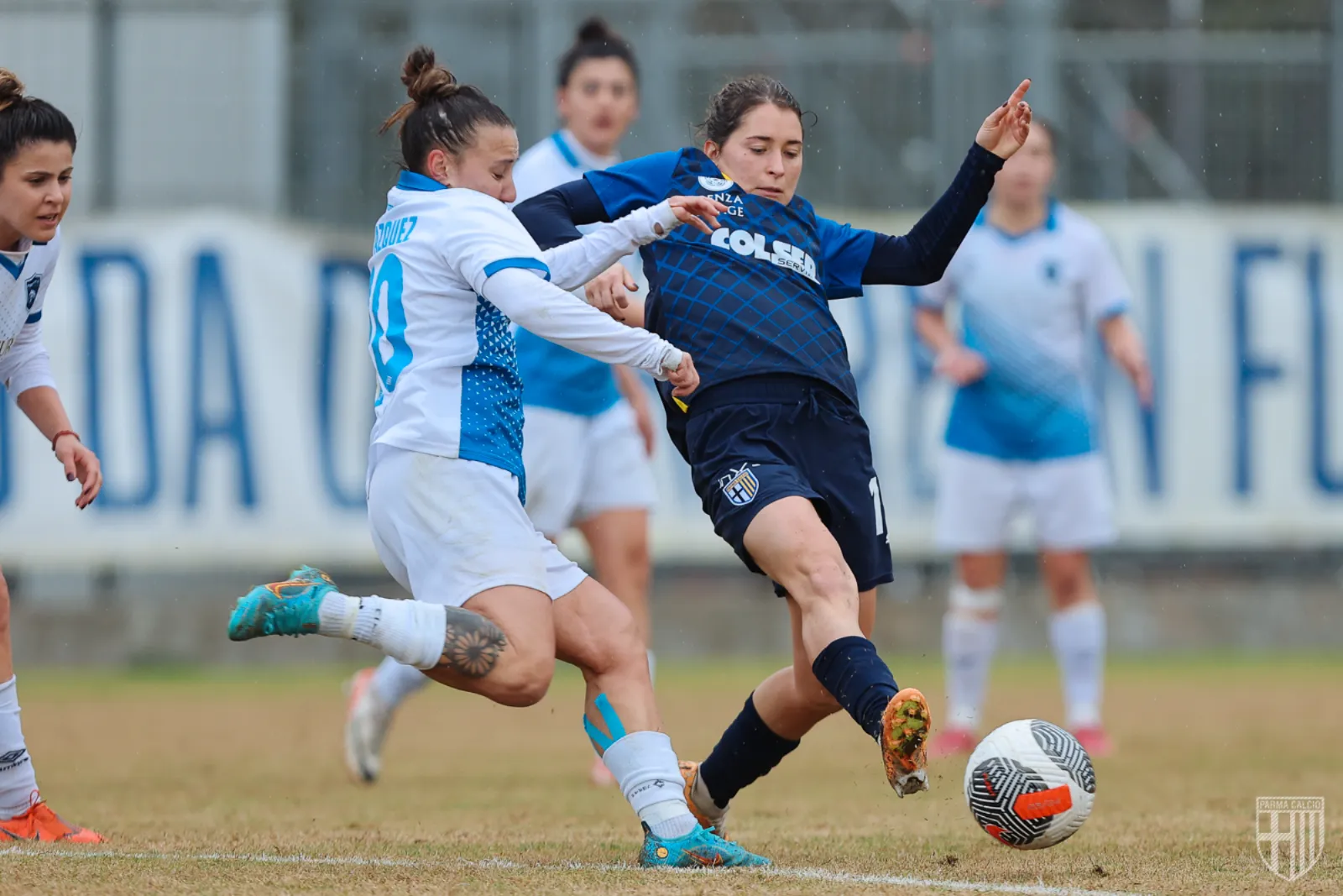 Media Gallery | Parma Calcio 1913