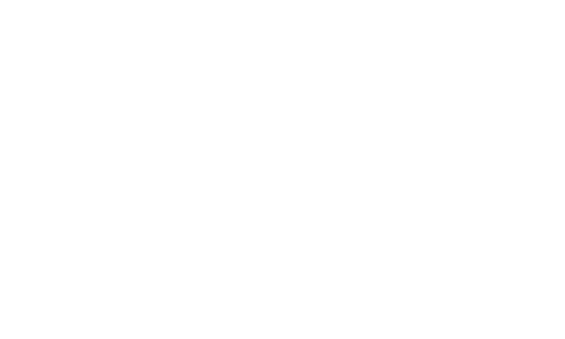 Syneco